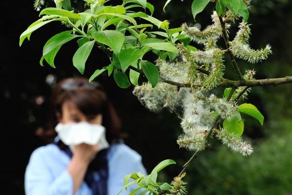 春天花粉过敏 家中新风系统装起来